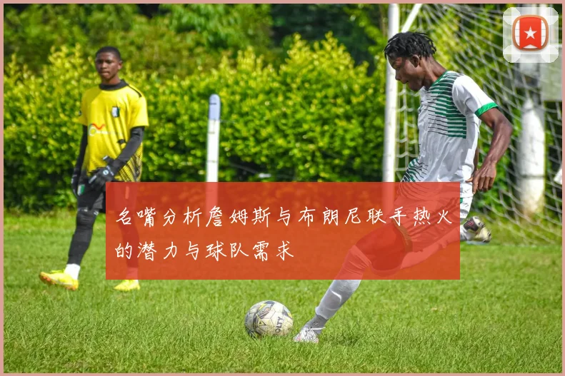 名嘴分析詹姆斯与布朗尼联手热火的潜力与球队需求