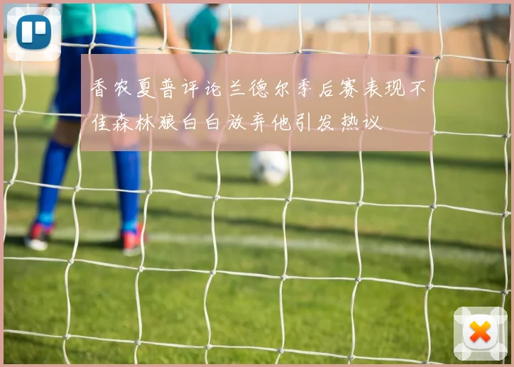 香农夏普评论兰德尔季后赛表现不佳森林狼白白放弃他引发热议